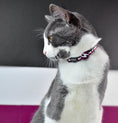 Load image into Gallery viewer, Dashi Stripes3 PURPLE&BLACK Cat Collar
