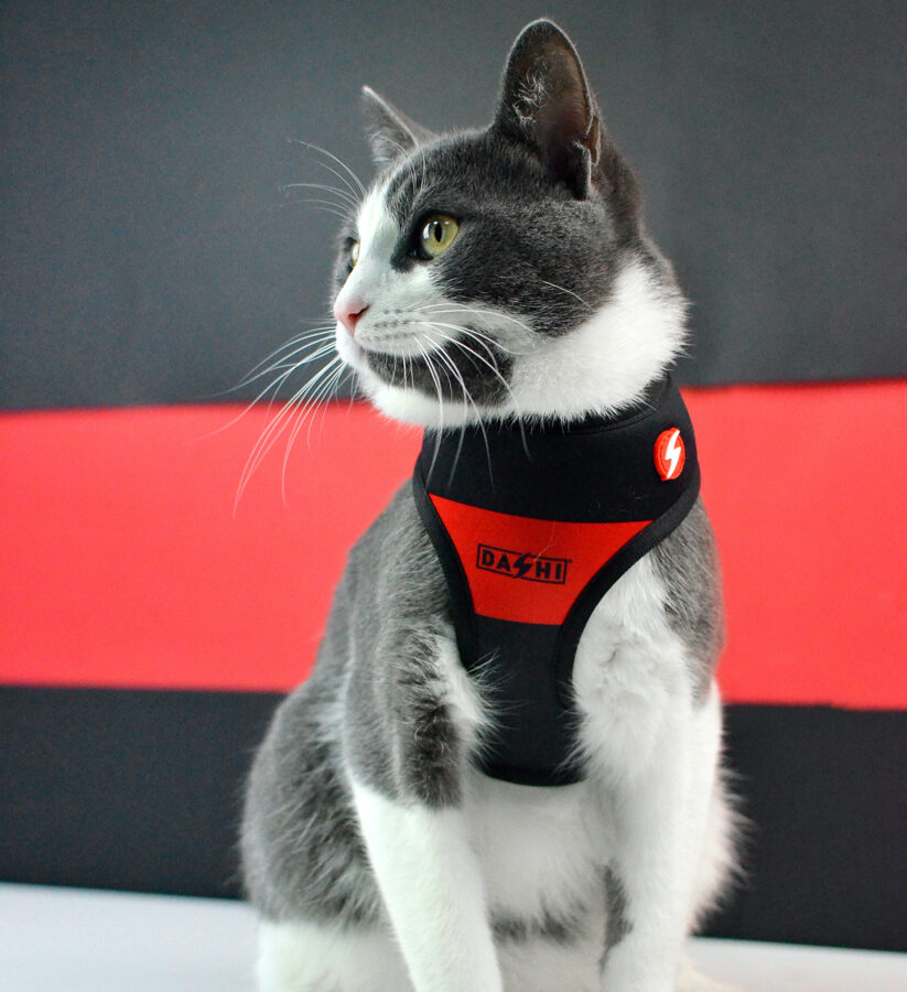Dashi Stripes3 RED&BLACK Reversible Neo Mesh Harnesses for Dogs and Cats