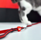 Dashi Stripes 3 RED BLACK Cat Harness + Leash