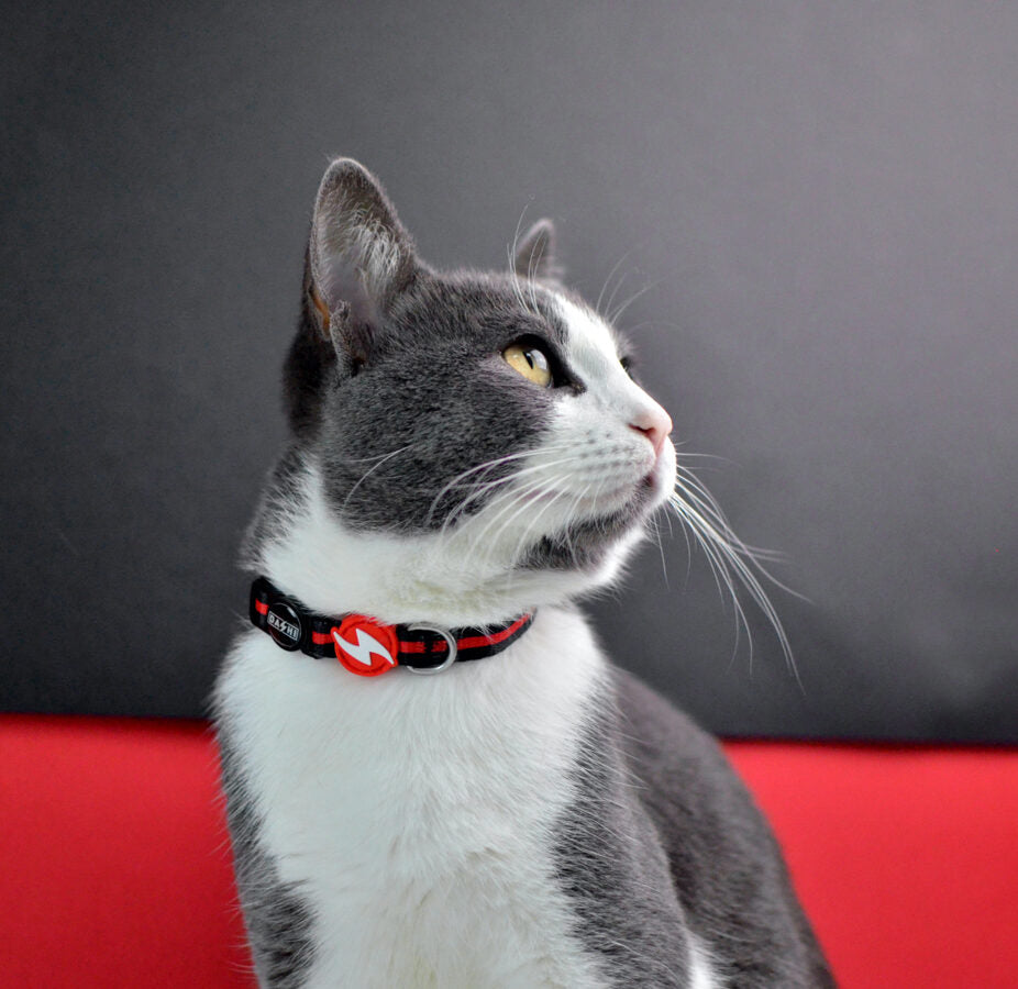 Dashi Stripes3 RED&BLACK Cat Collar