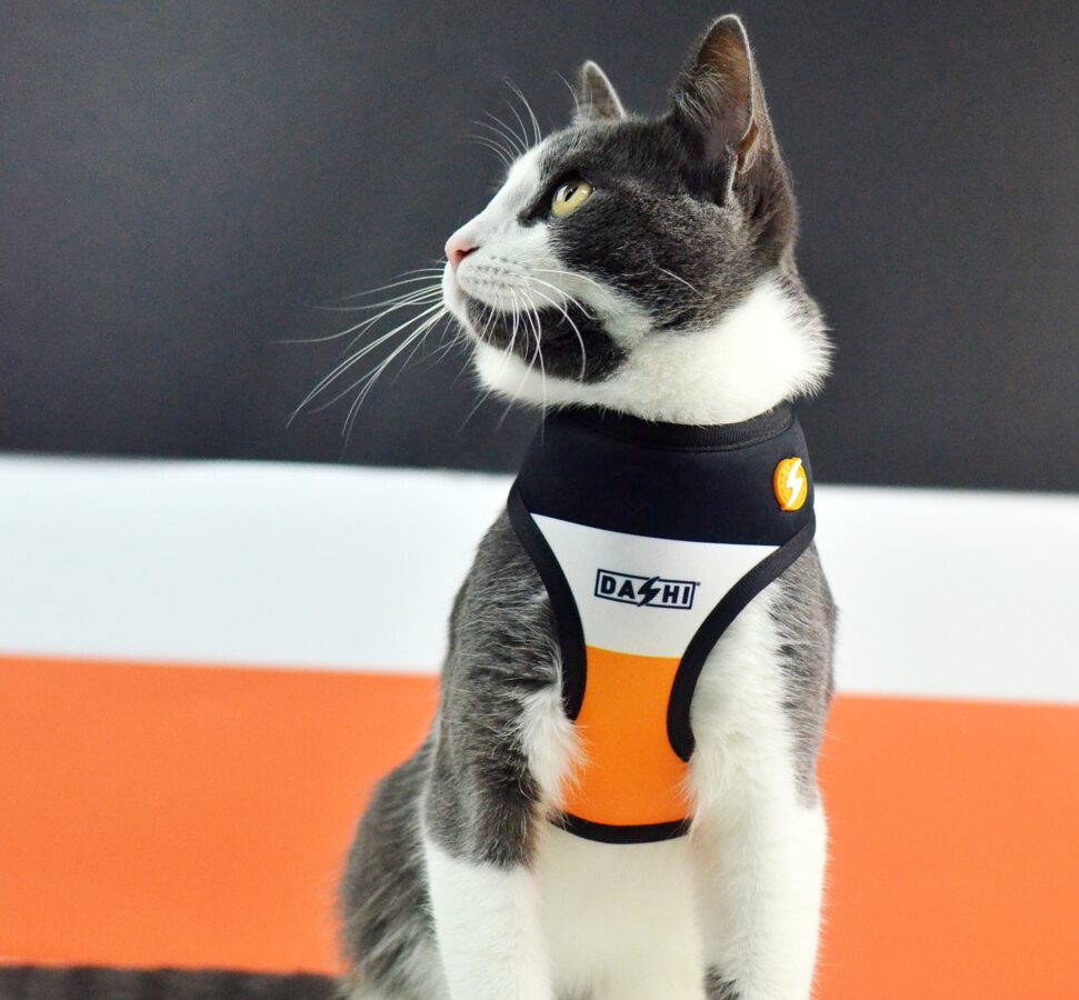 Dashi STRIPES3 ORANGE&BLACK Double Sided NeoMesh Harnesses For Dogs and Cats