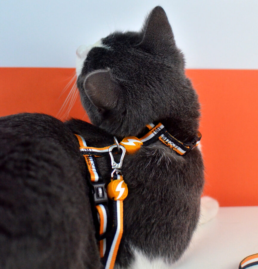 Dashi Stripes3 ORANGE&BLACK Cat Harness + Leash