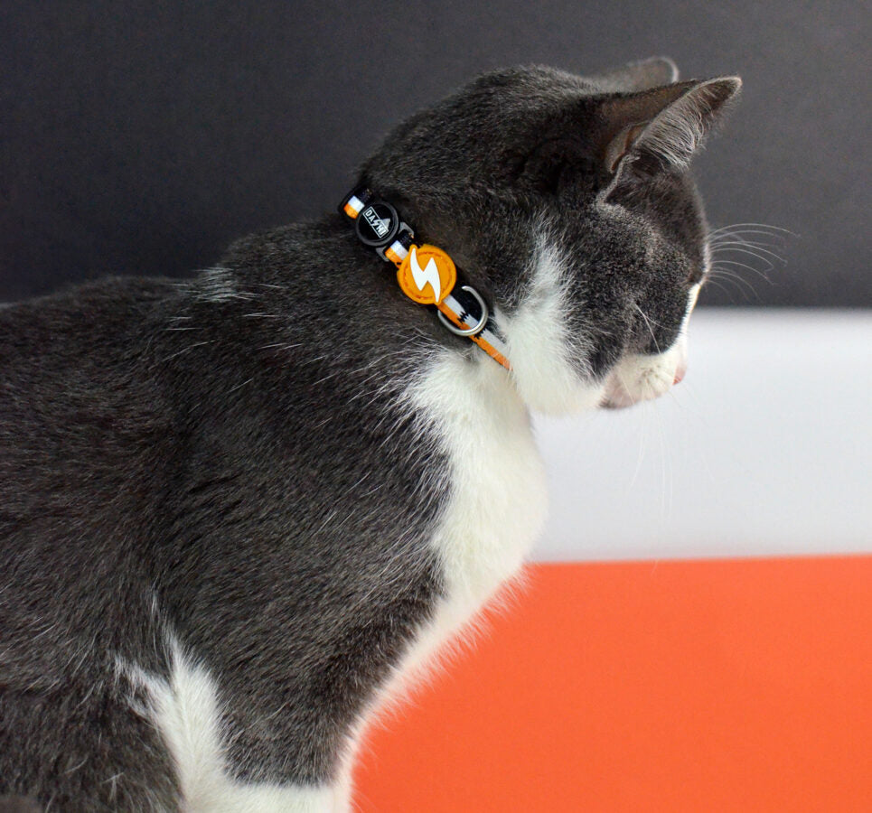 Dashi Stripes3 ORANGE&BLACK Cat Collar