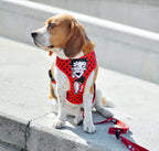 Dashi VINTAGE BETTY Reversible NeoMesh Harnesses