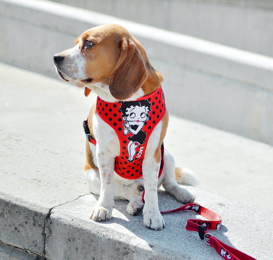 Dashi VINTAGE BETTY Reversible NeoMesh Harnesses