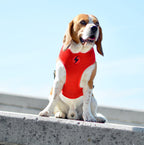 Dashi VINTAGE BETTY Reversible NeoMesh Harnesses