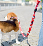 Dashi VINTAGE BETTY pavada suņiem