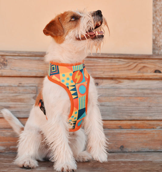 Dashi TERRACOTTA Reversible Neo Mesh Harnesses For Dogs and Cats