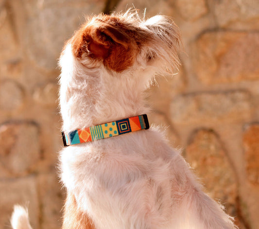 Dashi TERRACOTTA Dog Collar