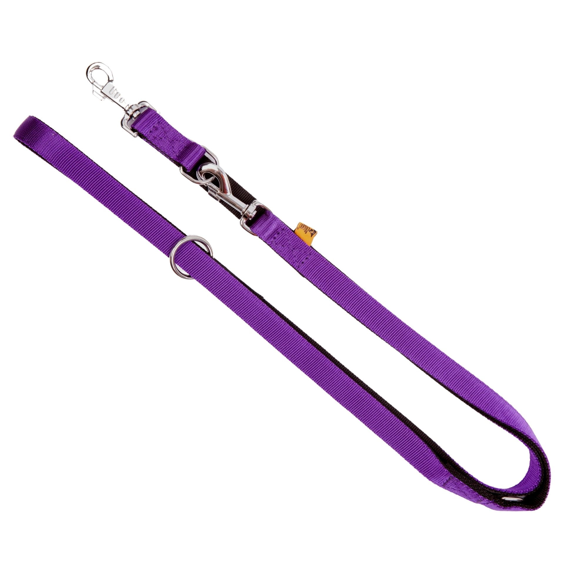 Dingo EXTENDABLE LEASH ENERGY EXTRA, Purple, 120-220cm