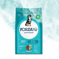 Ielādējiet attēlu galerijas skatītājā, Forza10 Maxi Adult Maintenance ar zivi sausā barība liela izmēra suņiem (36-70kg), 12,5kg
