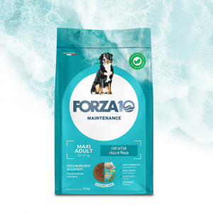 Forza10 Adult Maxi Maintenance, Dry Food For Adult Dogs Large Breed (36 - 70 kg) - Fish, 12,5 kg