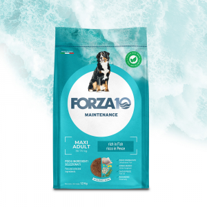 Forza10 Adult Maxi Maintenance, Dry Food For Adult Dogs Large Breed (36 - 70 kg) - Fish, 12kg