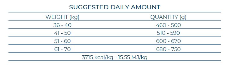 Forza10 Maxi Adult Maintenance ar zivi sausā barība liela izmēra suņiem (36-70kg), 12kg