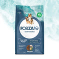 Cargar la imagen en la vista de la galería, Forza10 All Breeds Dog Adult Alimento seco de mantenimiento para perros con pescado y arroz, 2 kg
