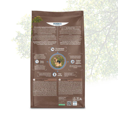 Forza10 Maintenance Mini Alimento seco para perros adultos con cordero y arroz, alto en proteínas, 2 kg