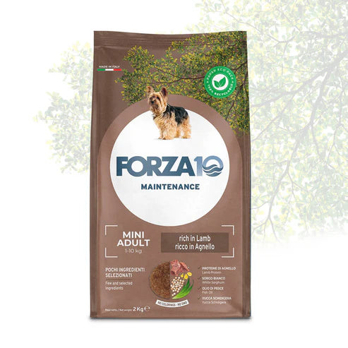 Forza10 Maintenance Mini Alimento seco para perros adultos con cordero y arroz, alto en proteínas, 2 kg