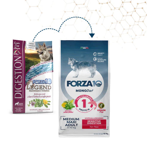 Forza10 MonoDiet Sensitive Digestion Medium/Maxi Adult, Alimento seco para perros con anchoa, 10 kg