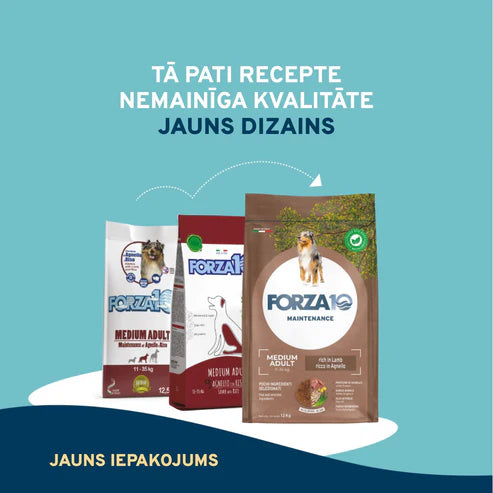 Forza10 Alimento seco de mantenimiento para perros medianos y adultos con cordero y arroz, 12 kg