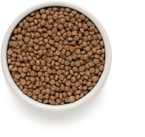 Pienso Seco para Gatos Ontario Esterilizado con Salmón, 2 kg