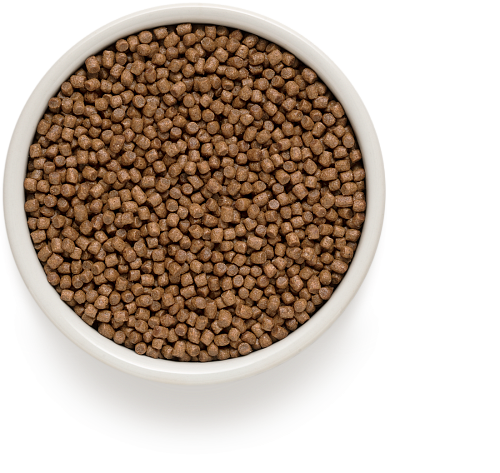 Nourriture sèche pour chats Ontario stérilisée au saumon, 2 kg