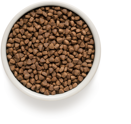 Nourriture sèche pour chats Ontario stérilisée au saumon, 2 kg