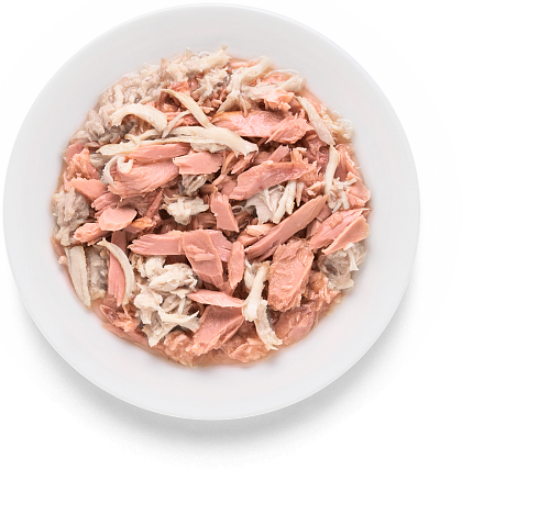 Ontario Herb Nassfutter für Katzen mit Huhn und Schinken, 80 g