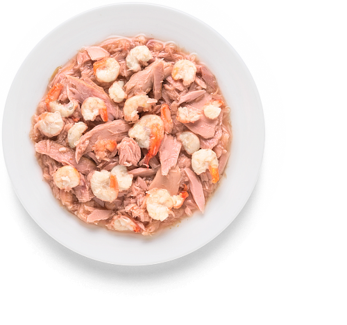 Ontario Herb Nassfutter für Katzen mit Huhn und Schinken, 80 g