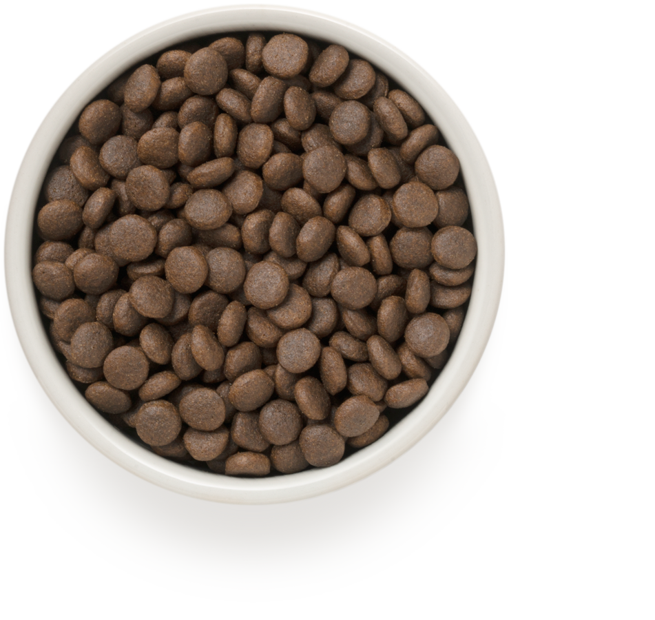 Ontario Dog Senior Mini nourriture sèche pour chiens avec agneau et riz, 2,25 kg