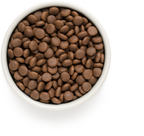 Grandorf Junior Lamb & Turkey 1kg