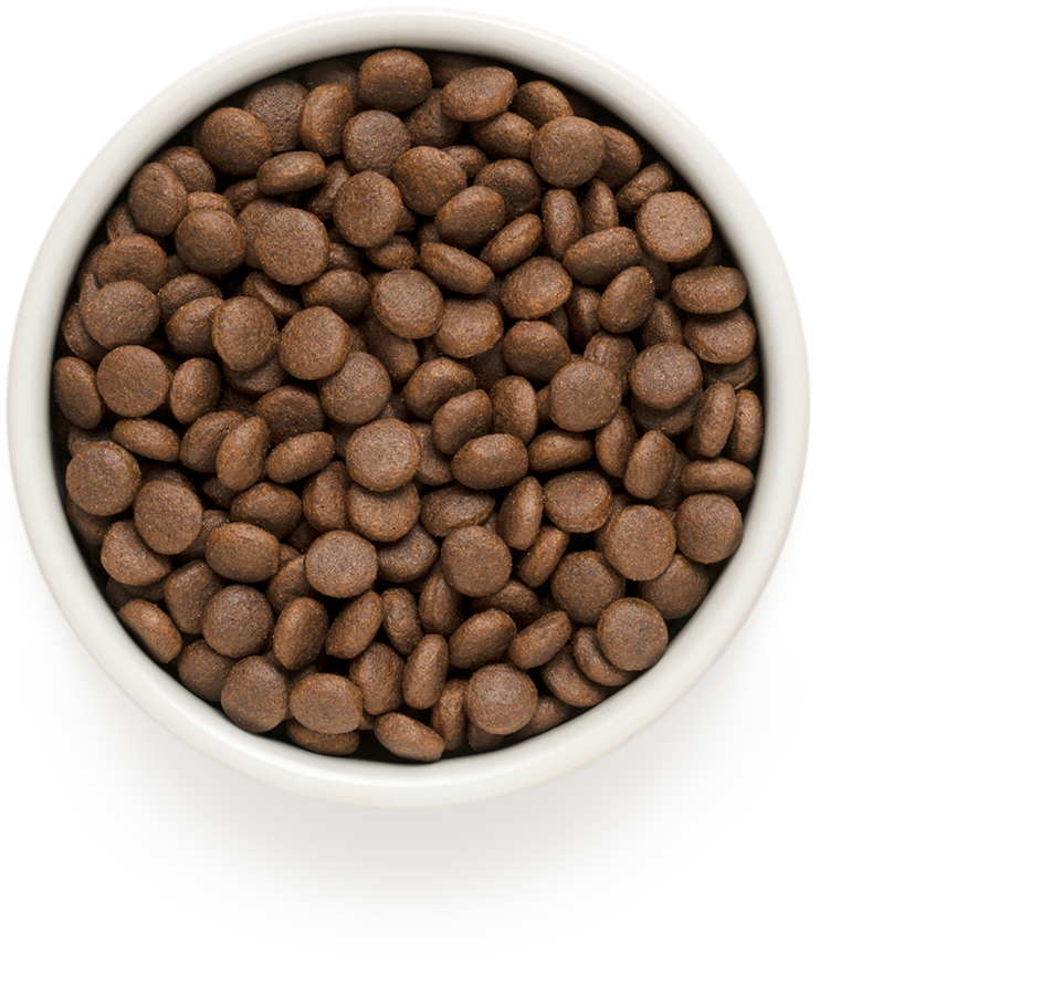 Ontario Dog Senior Mini nourriture sèche pour chiens avec agneau et riz, 2,25 kg