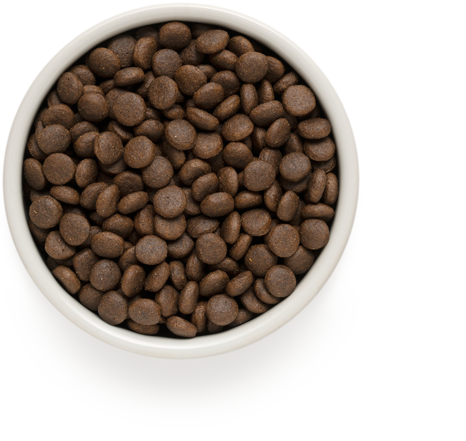 Grandorf Kanin & Kalkon Vuxen Medium & Maxi Raser 3kg