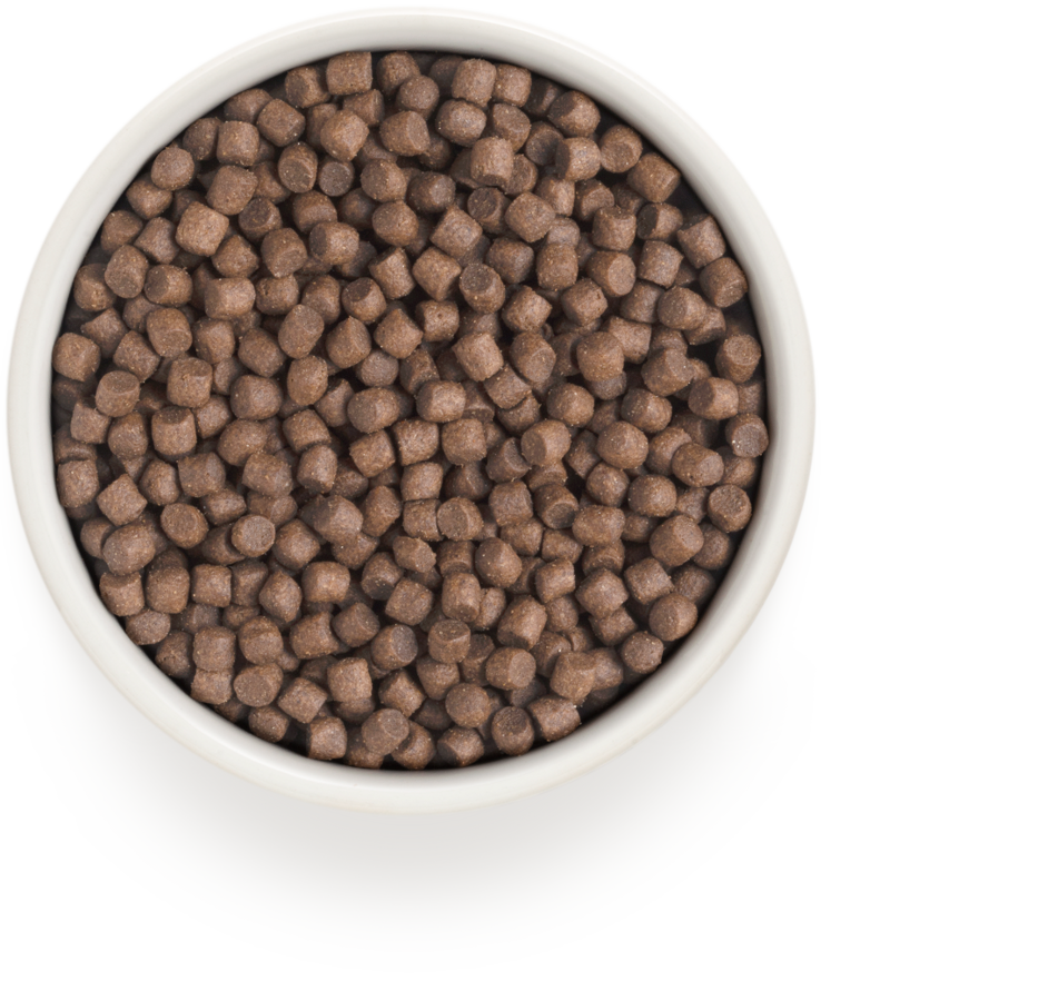 Ontario Dog Senior Mini Alimento seco para perros con cordero y arroz, 2,25 kg