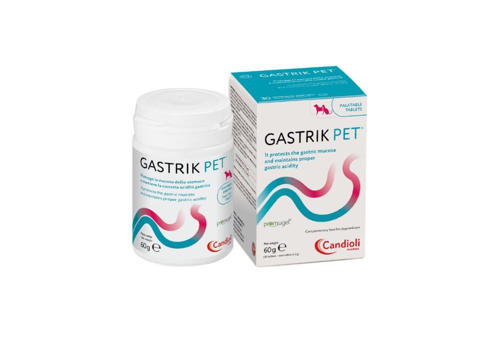 Gastrik Pet Supplement For Dogs, Cats, N30