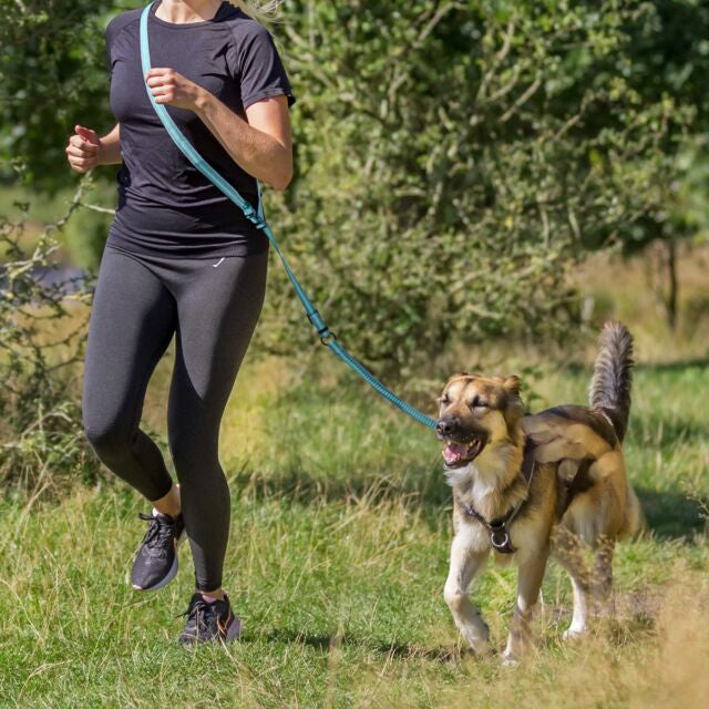 Running lead : Trixie Dog Activity, 1.33/1.80m