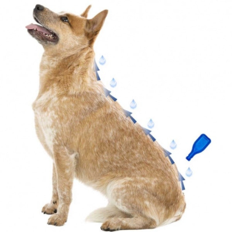 Beaphar Traitement Puces et Tiques IMMO Shield Line-on Chien pour Petites Races 1-15kg, 3 pipettes * 1,5 ml