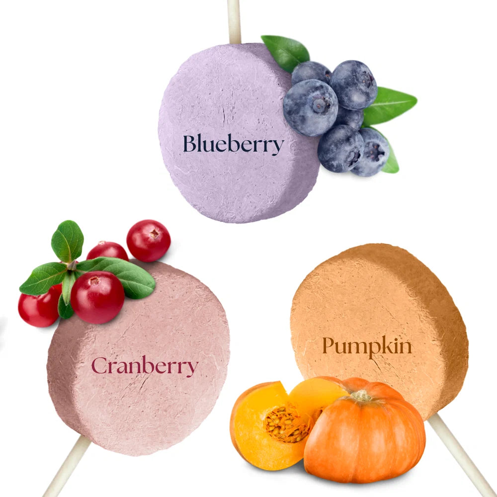 Dr Malou Freeze-Dried Meat Lollipops for Dogs - Mixed Flavours, 48g 6 pcs.