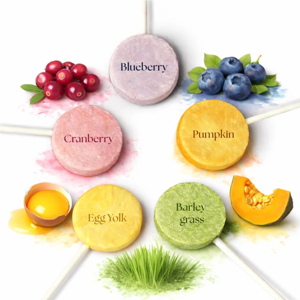Dr Malou Freeze-Dried Meat Lollipops for Cats - Mixed Flavours, 25g 15 pcs.