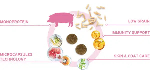 Forza10 MonoDiet Medium Adult Dry Dog Food Pork with Potato, 1,5kg