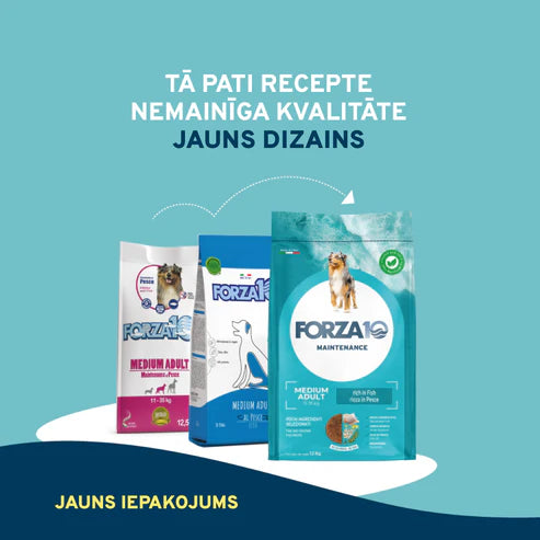 Forza10 Pienso de mantenimiento para perros medianos y adultos con pescado, 12 kg