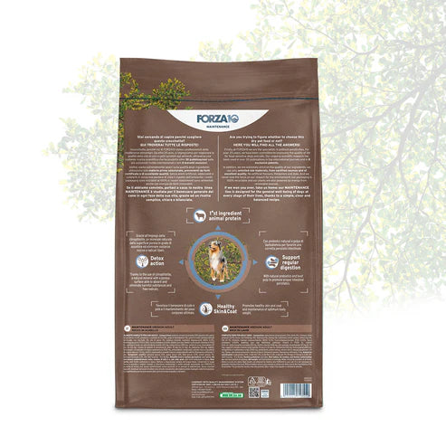 Forza10 Medium Dog Adult Maintenance Dry Dog Food With Lamb and Rice, 12kg