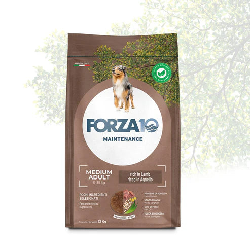 Forza10 Alimento seco de mantenimiento para perros medianos y adultos con cordero y arroz, 12 kg