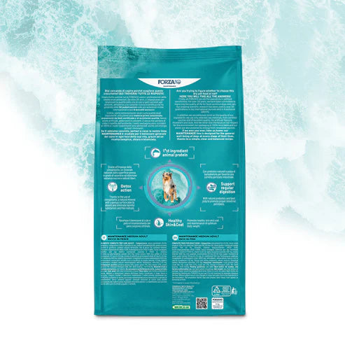 Forza10 Medium Dog Adult Maintenance Dry Food with Fish, 12kg