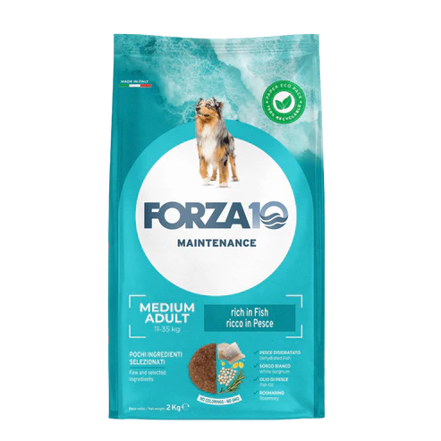 Forza10 Pienso de mantenimiento para perros medianos y adultos con pescado, 12 kg