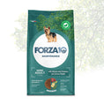 Load image into Gallery viewer, Forza10 Mini Dog Adult Maintenance Dry Food with Venison and Potato, 2kg
