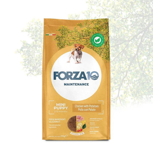 Forza10 Puppy Junior Maintenance Small/Medium Dry Food with Chicken and Potato, 2kg