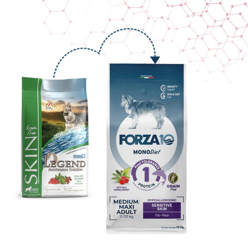 Forza10 MonoDiet Sensitive Skin Medium/Maxi Adult Sausā barība suņiem ar anšoviem, 10kg