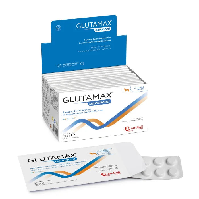 GlutaMax ADVANCED Candioli (Glutamax Advance) - Tablets For Maintaining Liver Function in Chronic Liver Failure, 10 tab