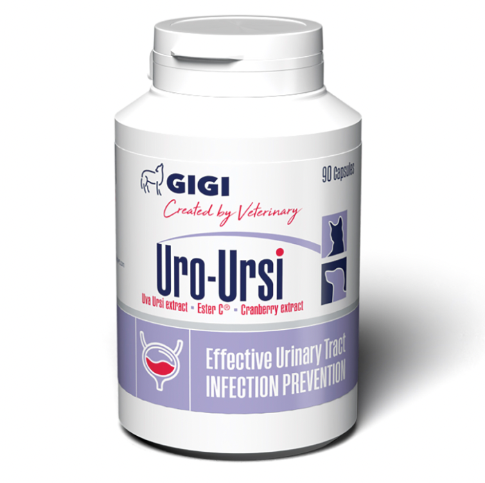 Gigi Uro-Ursi Caps N90