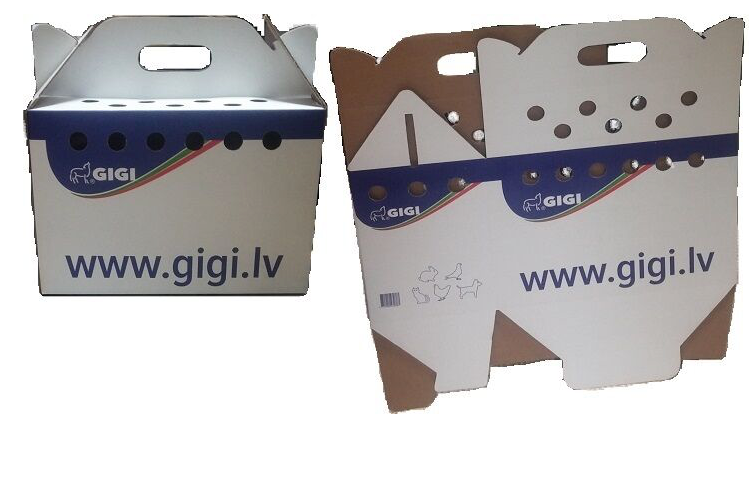 Gigi Transportation Box